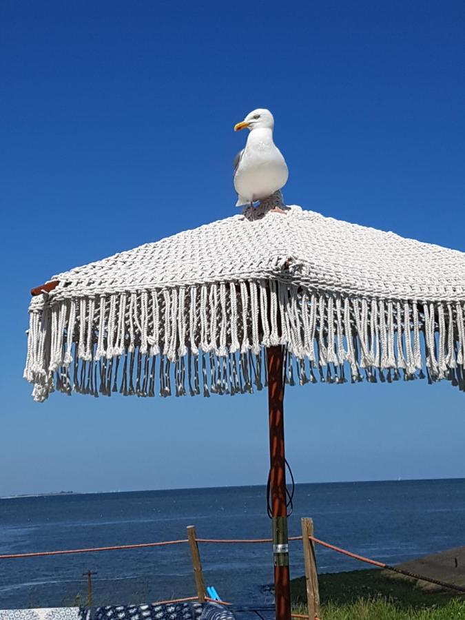 Romantisch Huisje Nabij Het Strand Met Uitzicht Op De Tulpenvelden Julianadorp Exterior photo