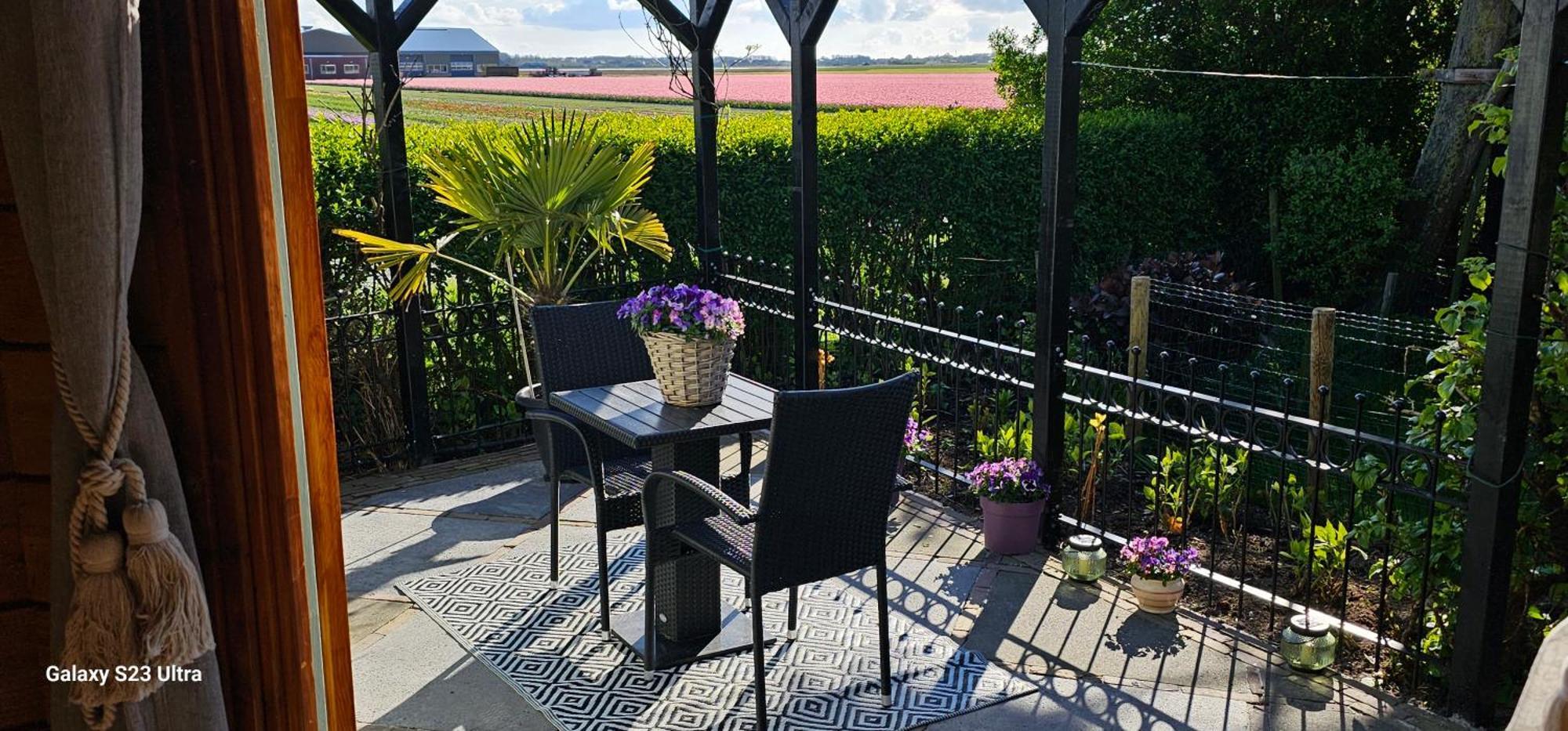 Romantisch Huisje Nabij Het Strand Met Uitzicht Op De Tulpenvelden Julianadorp Exterior photo