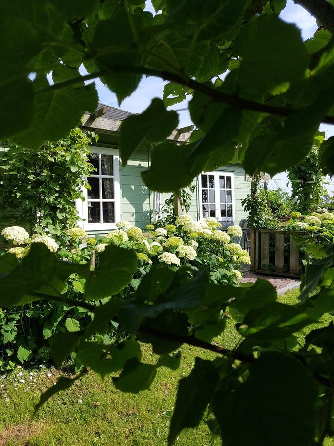 Romantisch Huisje Nabij Het Strand Met Uitzicht Op De Tulpenvelden Julianadorp Exterior photo